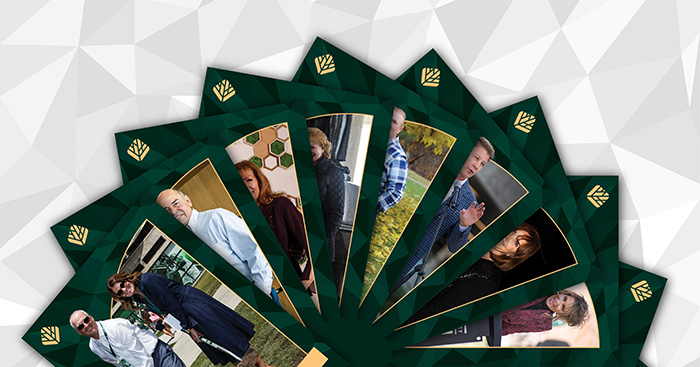 Baseball cards arranged on a table