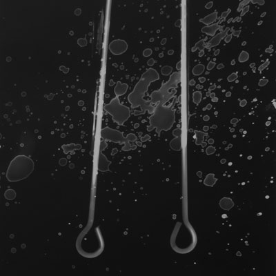 Photogram of two rods with splatters