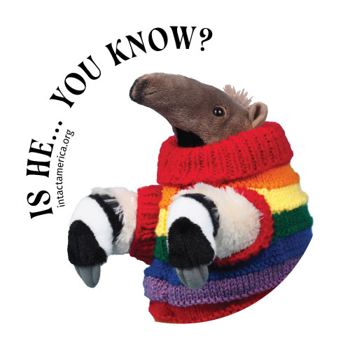 Image of an anteater wearing a rainbow sweater with the phrase 'is he... you know?'