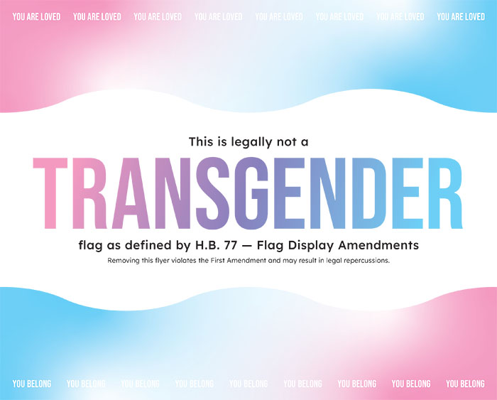 Poster that says 'This is legally not a TRANSGENDER flag' with a pink, blue, and white color scheme